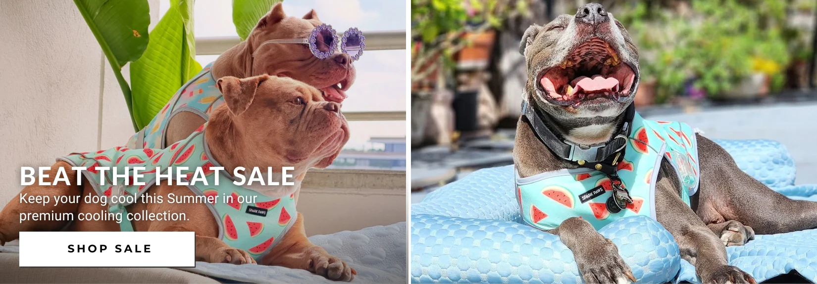 Style That Connects You Both
