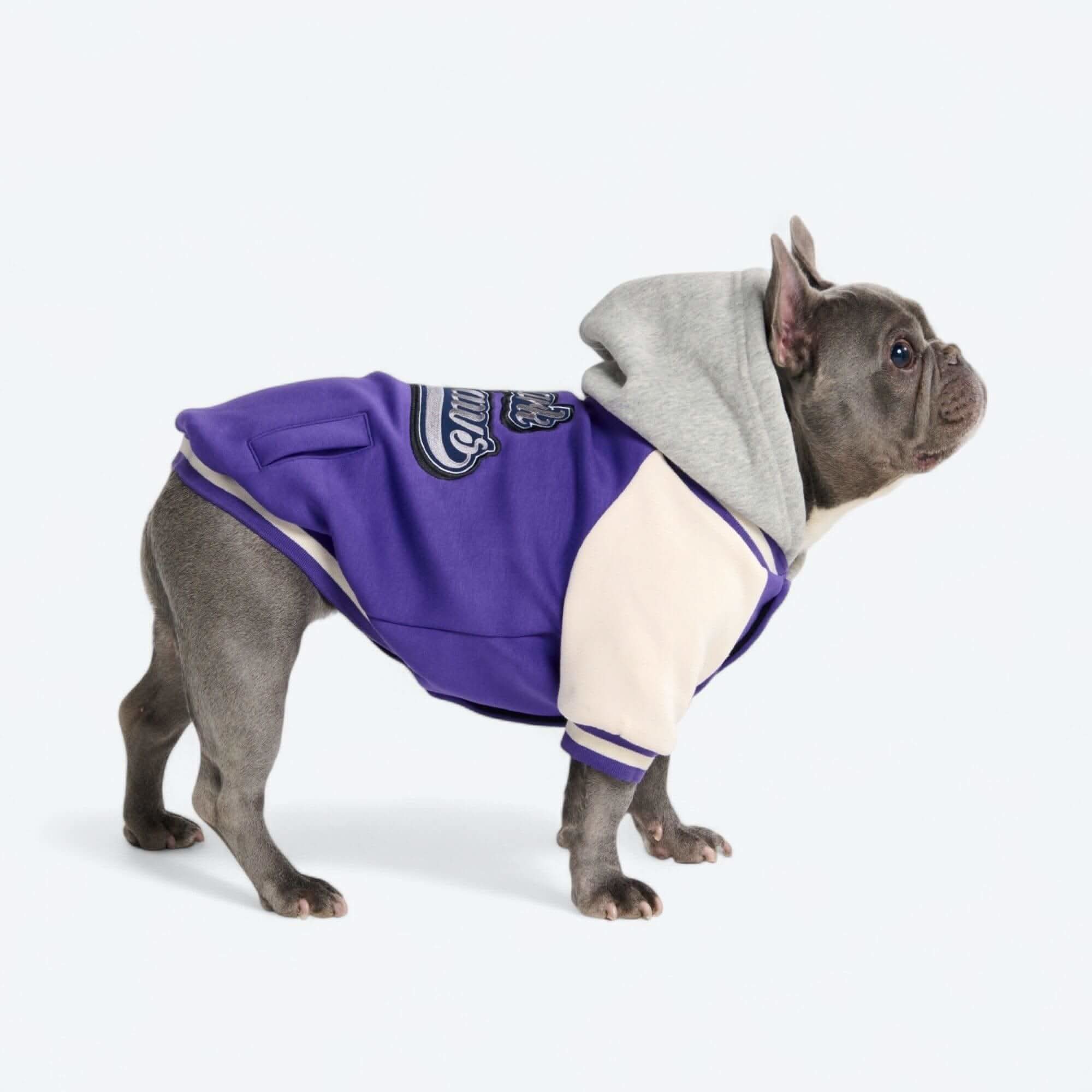 Thumbnail 8
