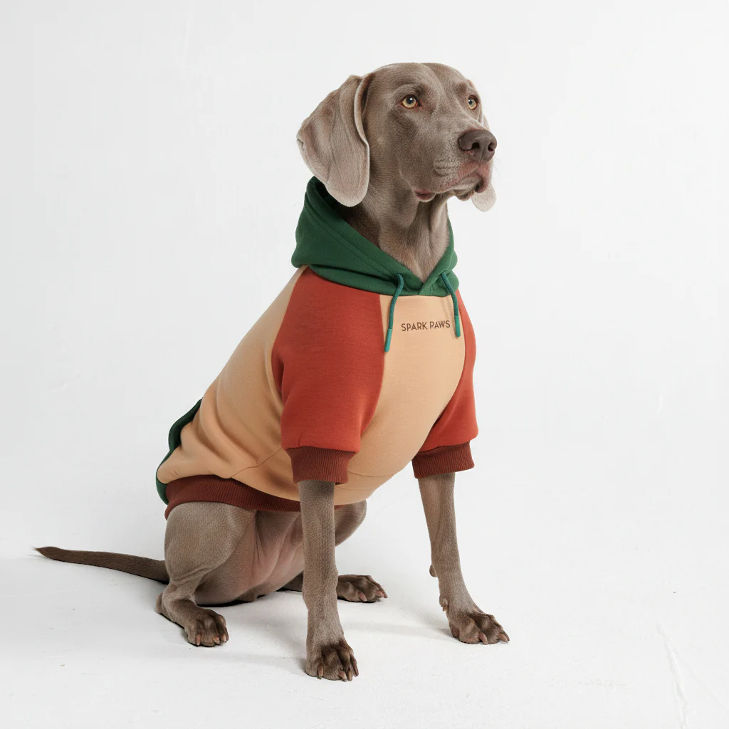 Thumbnail 43